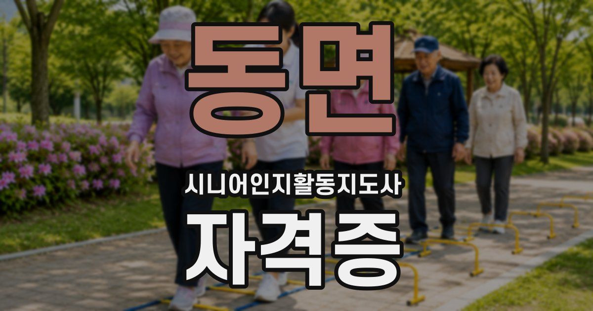 동면 시니어인지활동지도사 자격증