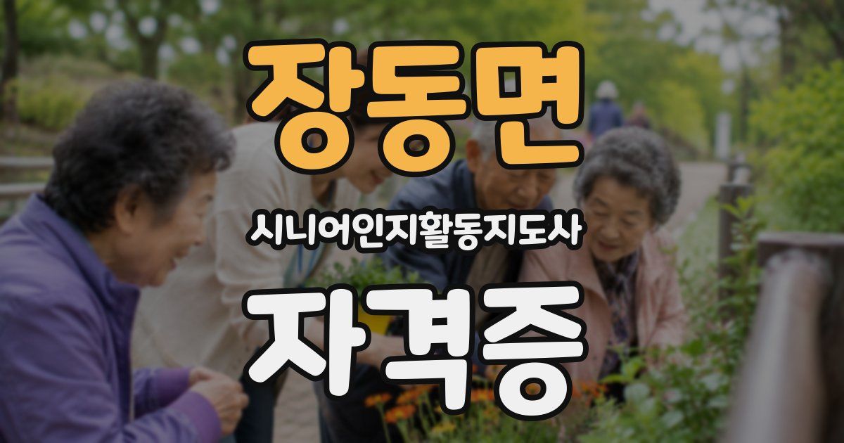 장동면 시니어인지활동지도사 자격증