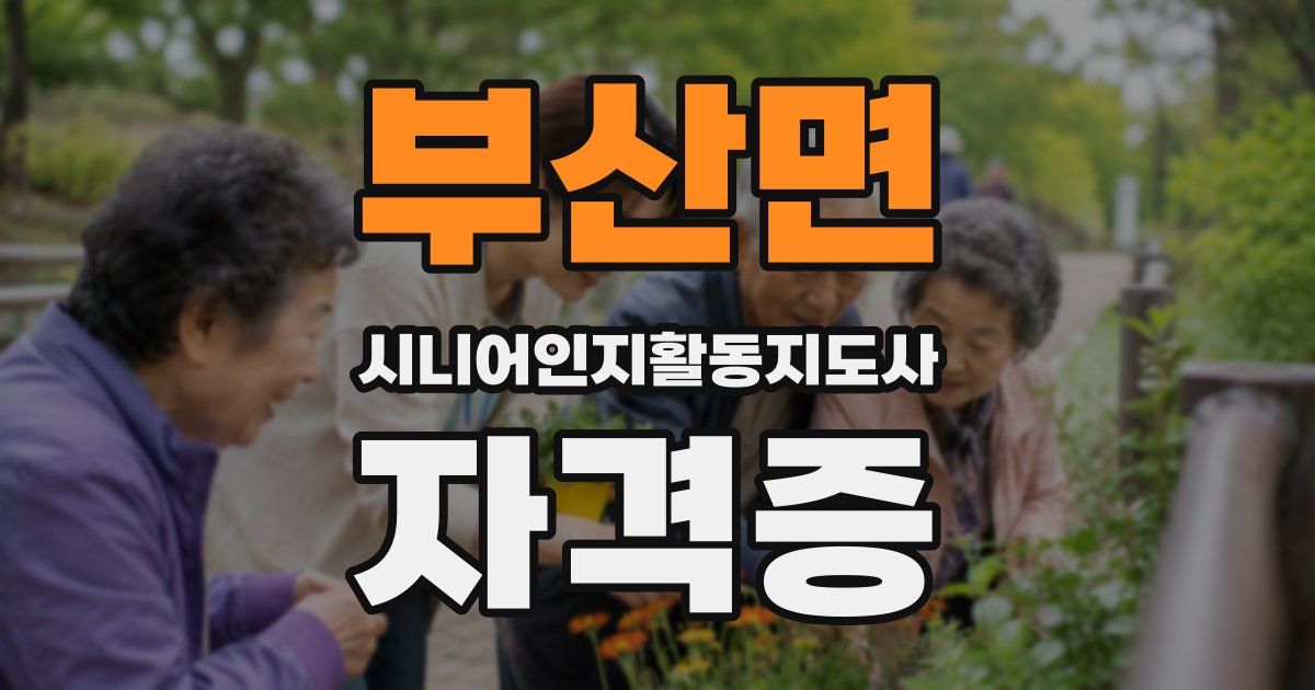 부산면 시니어인지활동지도사 자격증