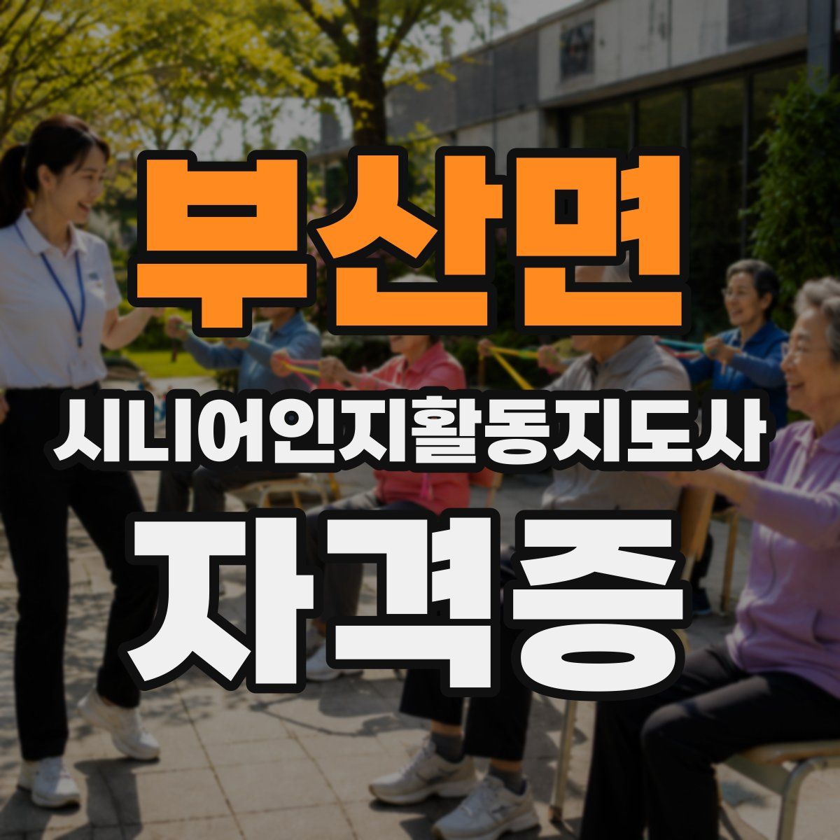부산면 시니어인지활동지도사 자격증
