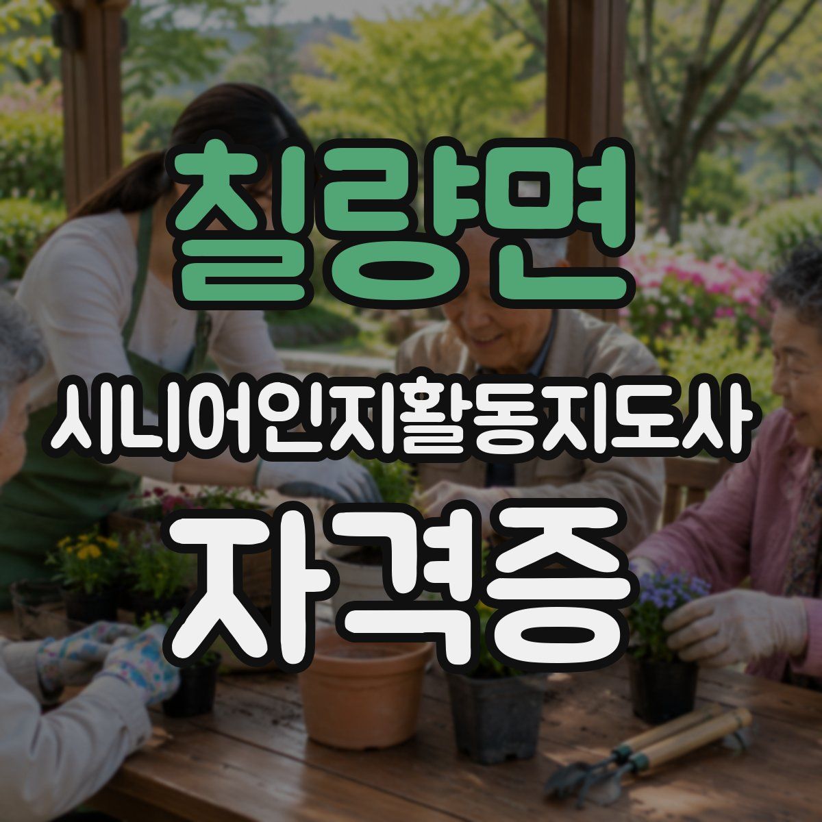 칠량면 시니어인지활동지도사 자격증