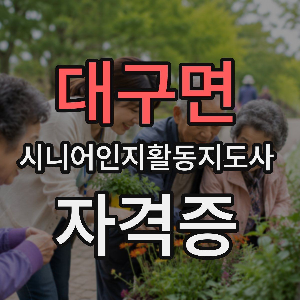 대구면 시니어인지활동지도사 자격증