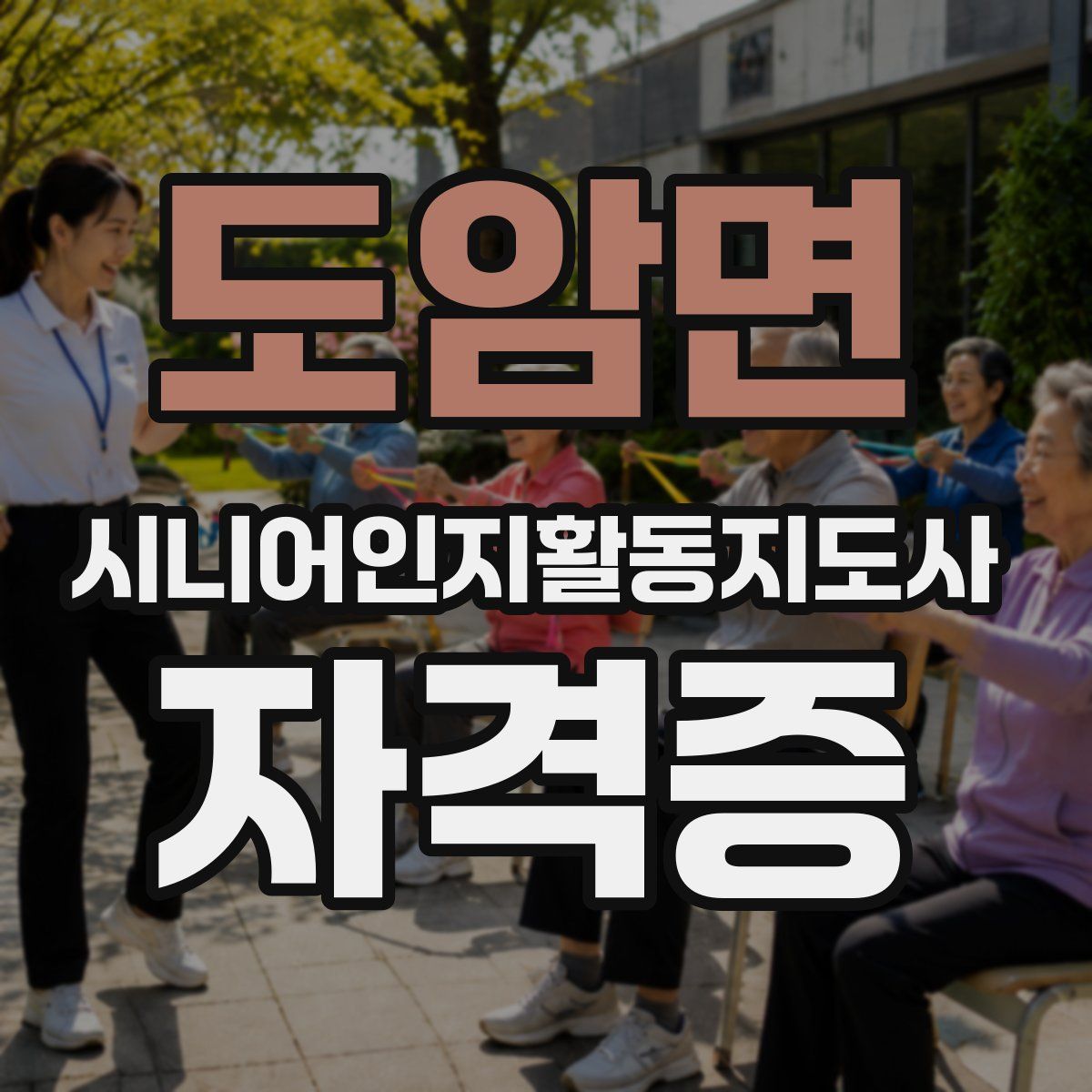 도암면 시니어인지활동지도사 자격증