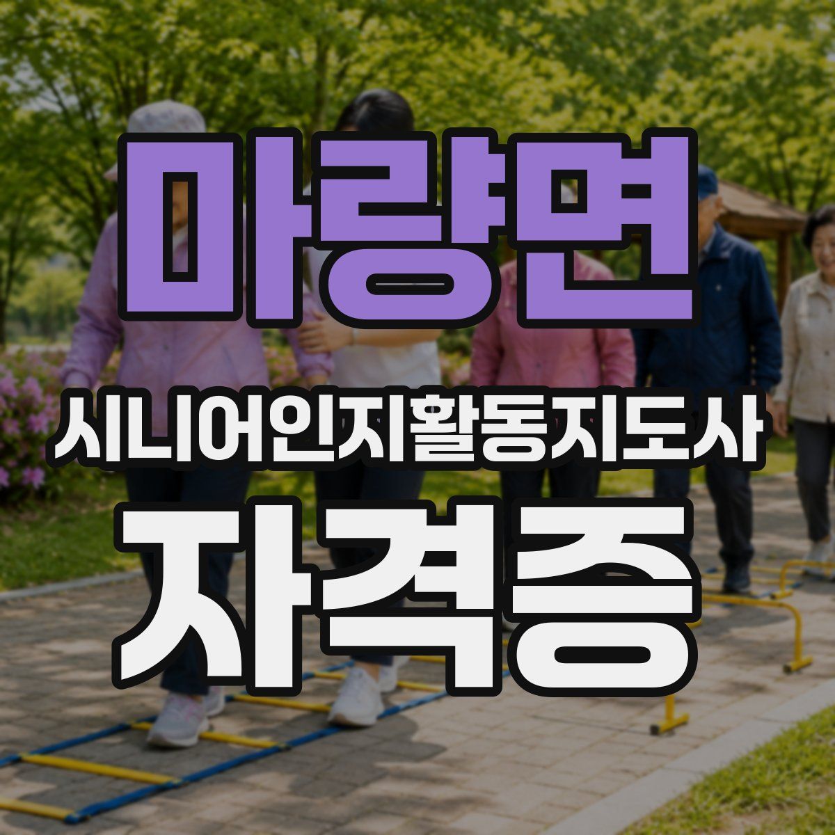 마량면 시니어인지활동지도사 자격증