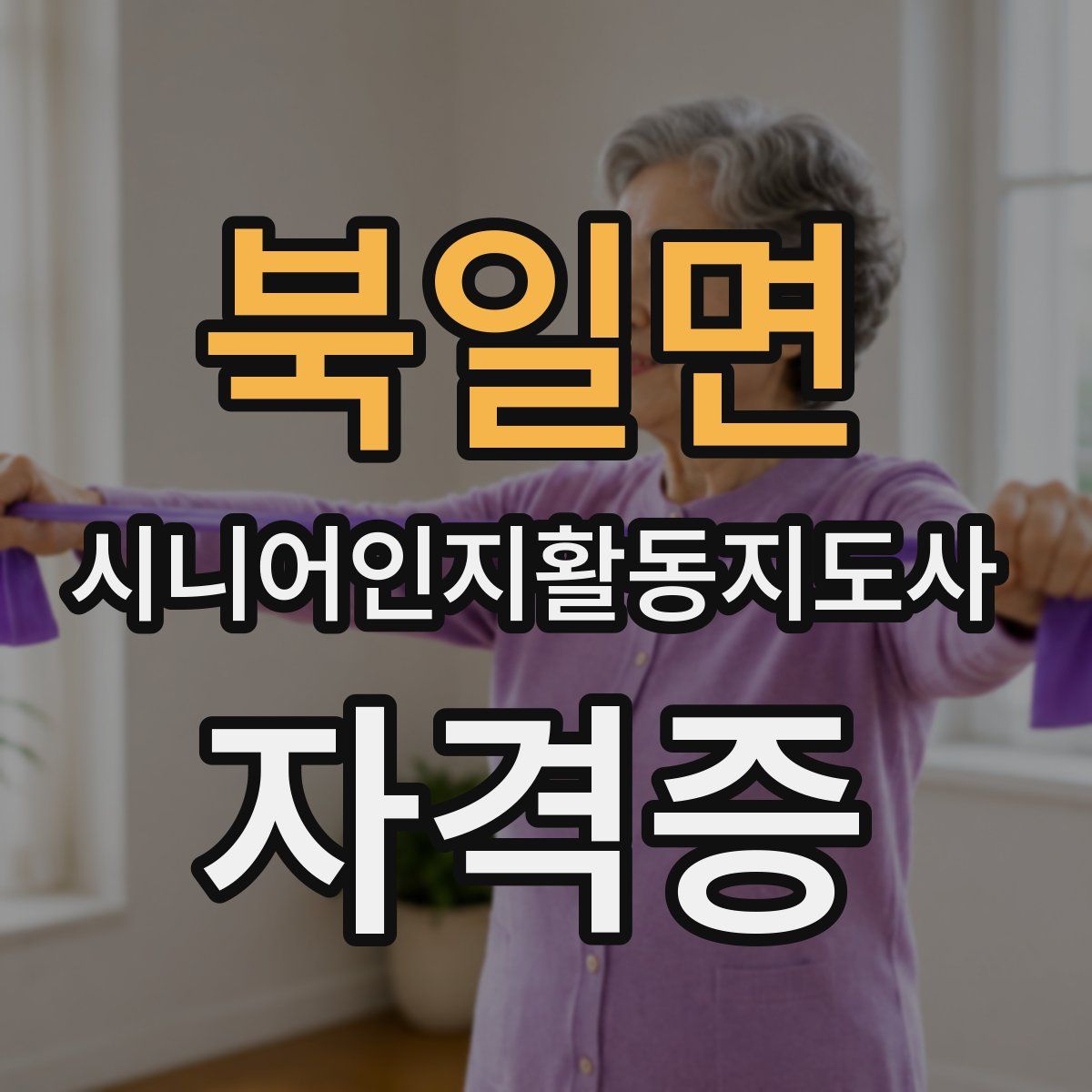 북일면 시니어인지활동지도사 자격증
