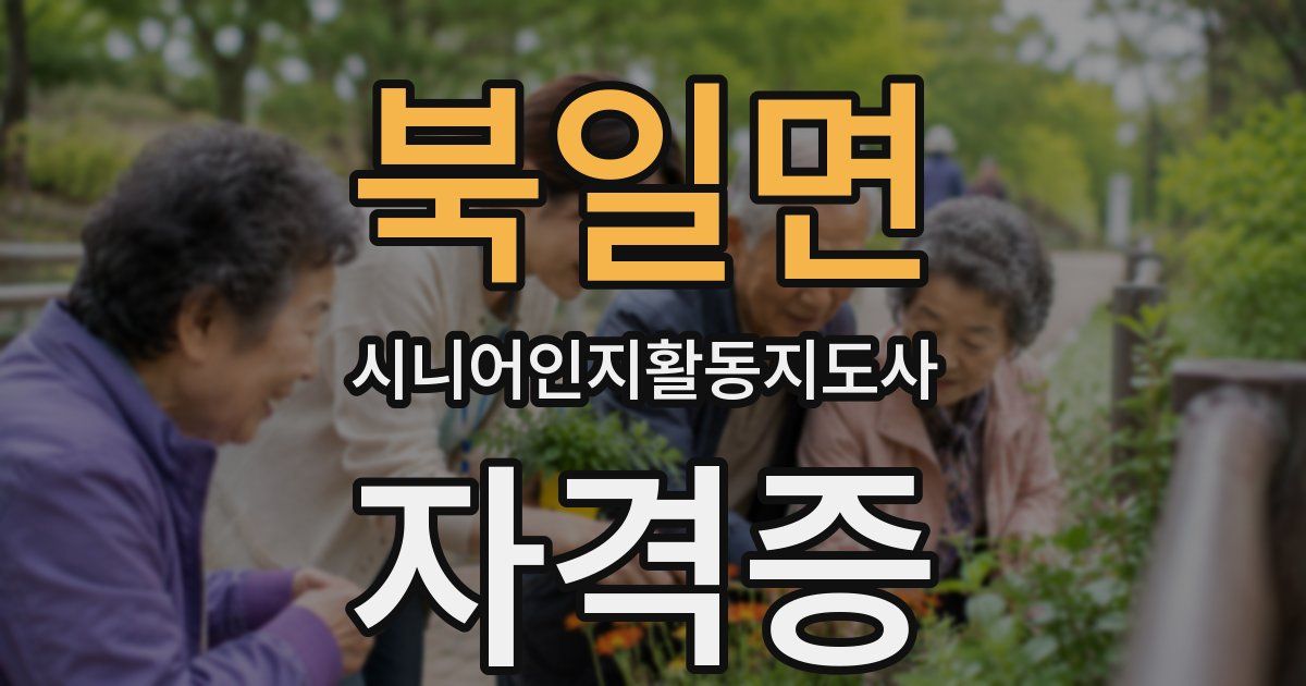 북일면 시니어인지활동지도사 자격증