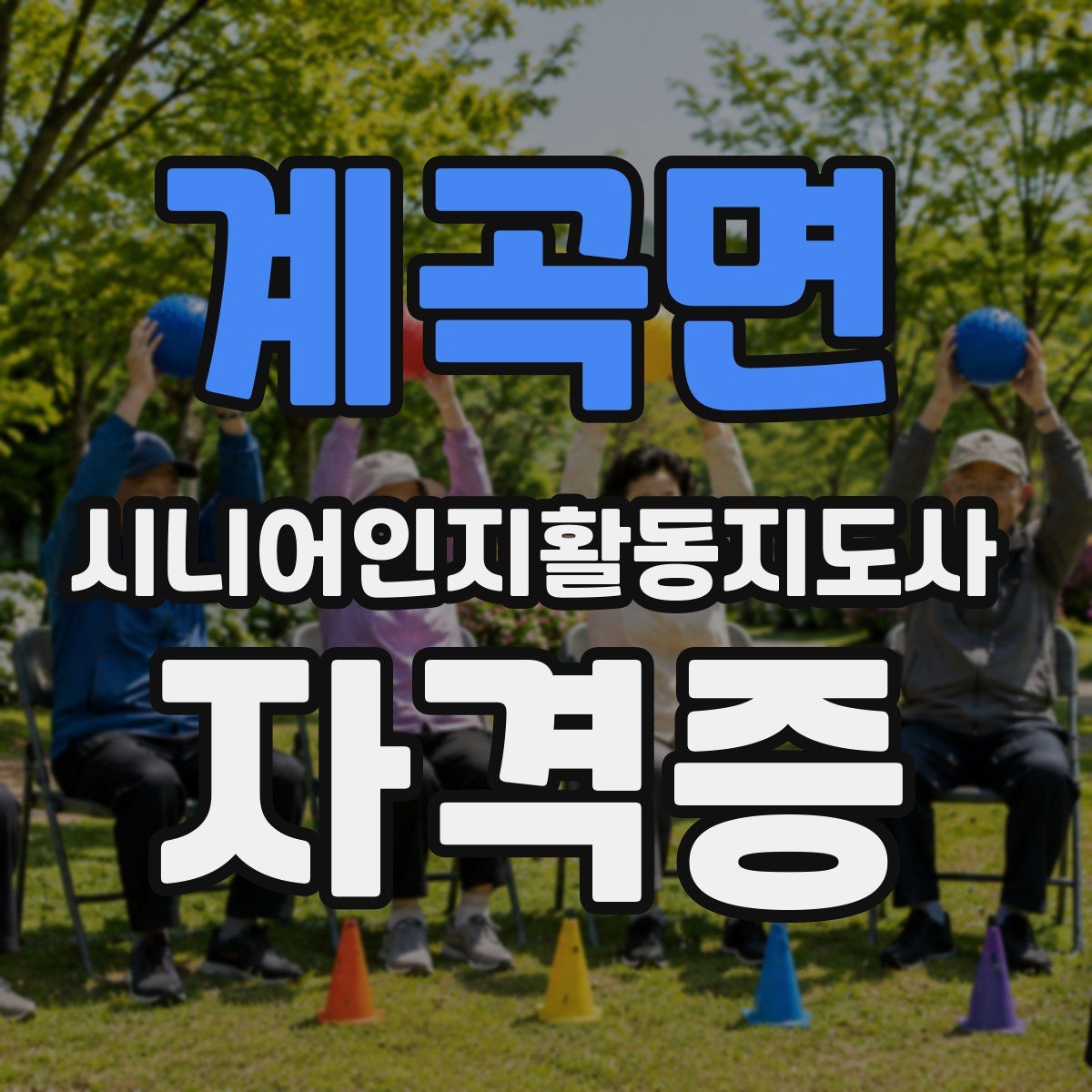 계곡면 시니어인지활동지도사 자격증