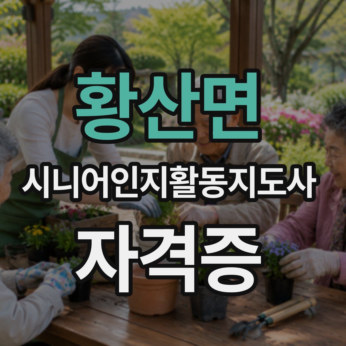 황산면 시니어인지활동지도사 자격증