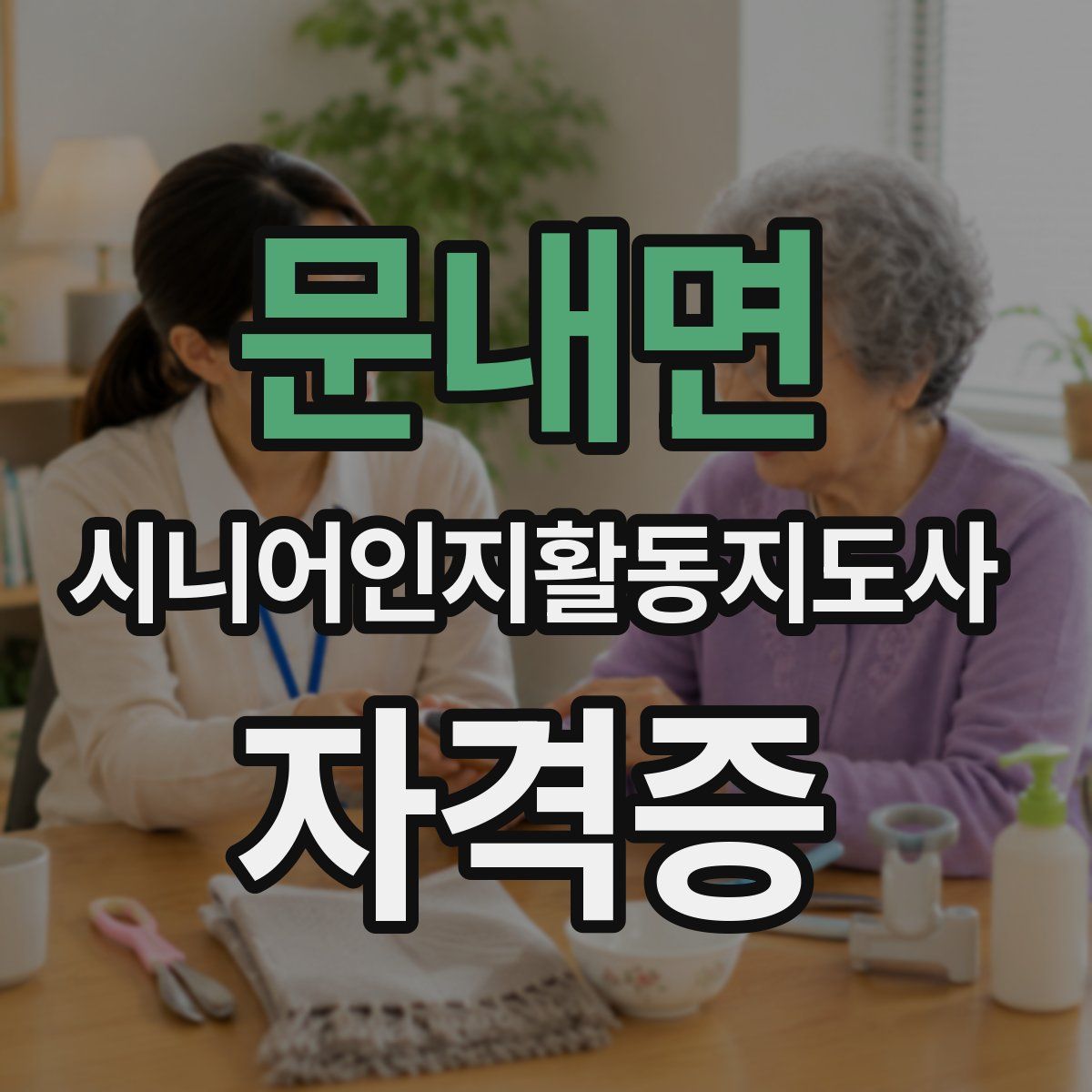 문내면 시니어인지활동지도사 자격증