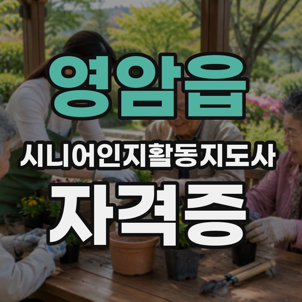 영암읍 시니어인지활동지도사 자격증