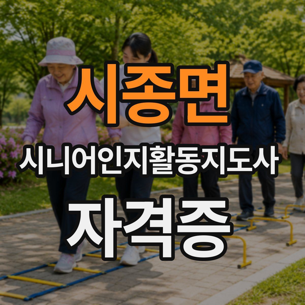 시종면 시니어인지활동지도사 자격증