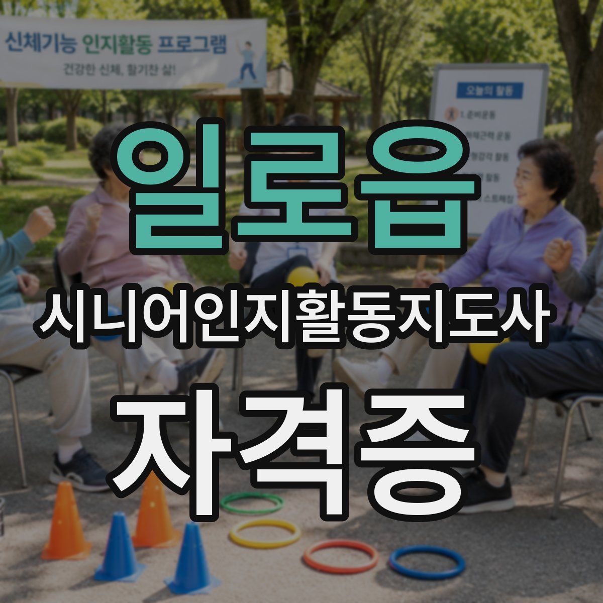 일로읍 시니어인지활동지도사 자격증