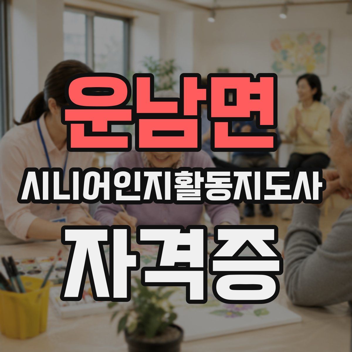 운남면 시니어인지활동지도사 자격증