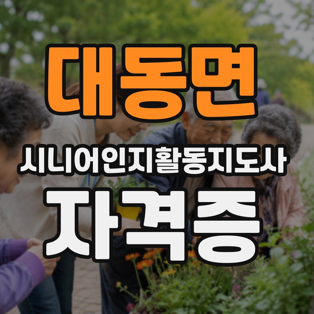 대동면 시니어인지활동지도사 자격증