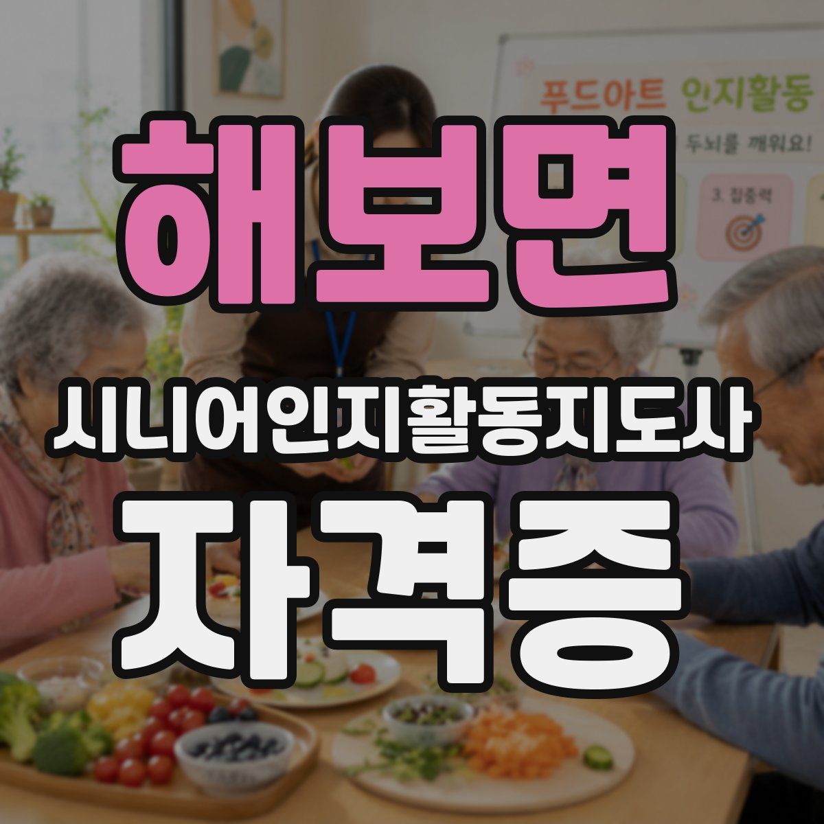 해보면 시니어인지활동지도사 자격증