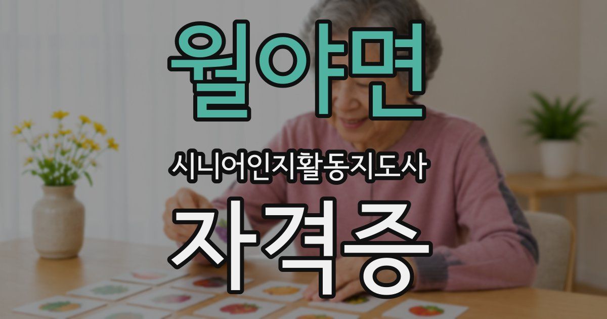 월야면 시니어인지활동지도사 자격증