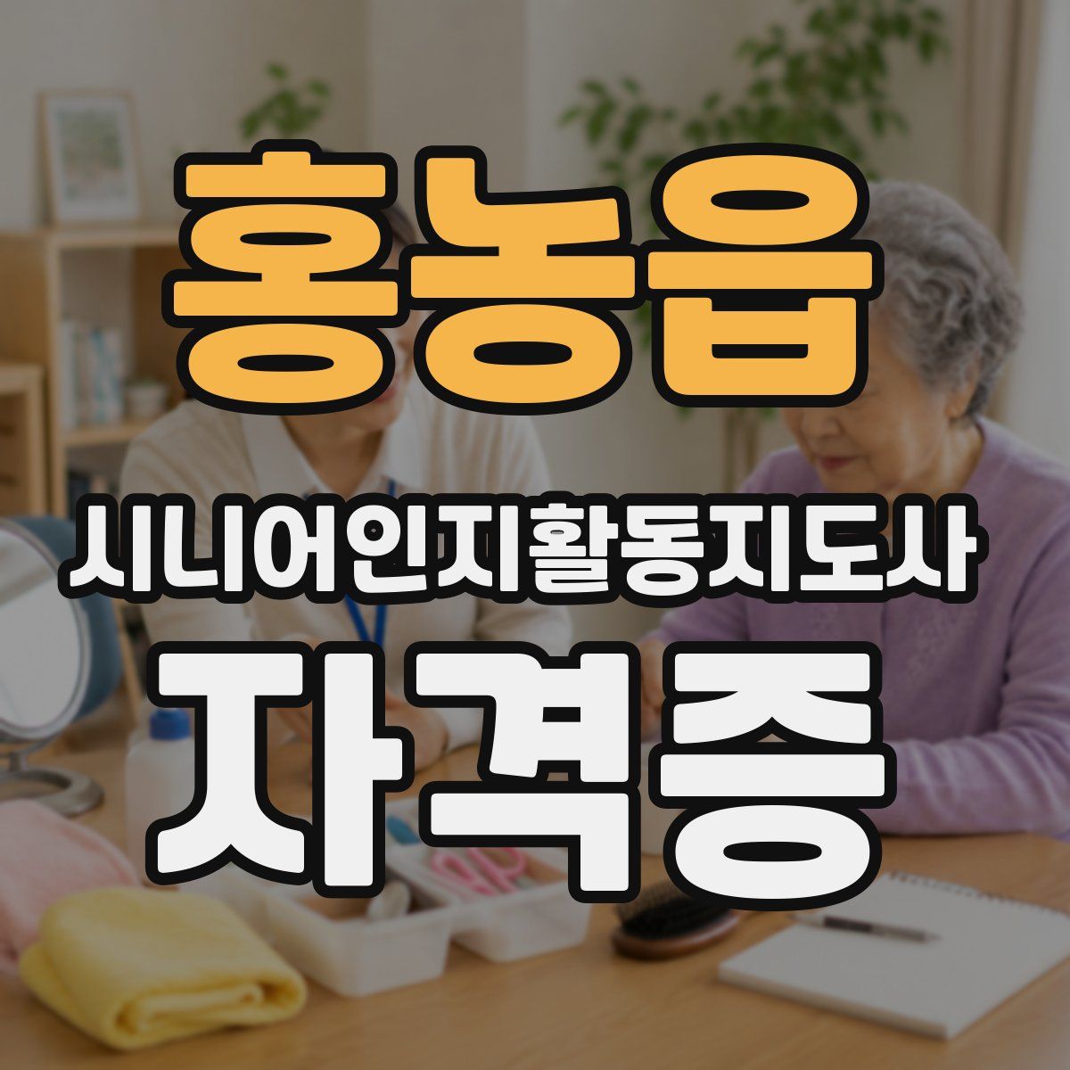 홍농읍 시니어인지활동지도사 자격증