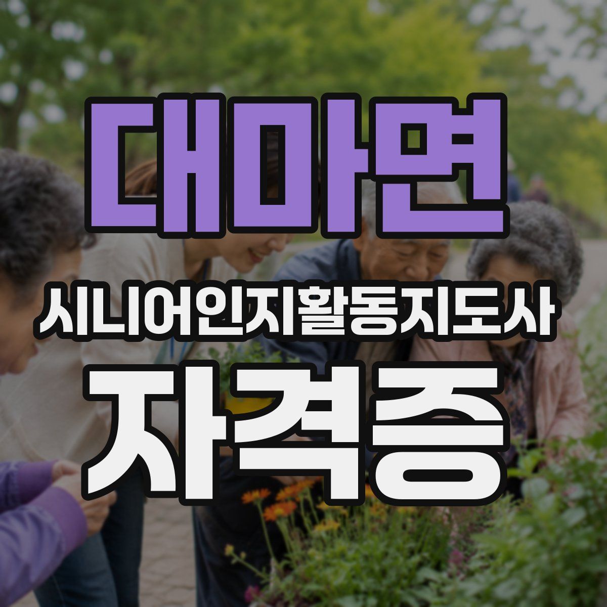 대마면 시니어인지활동지도사 자격증