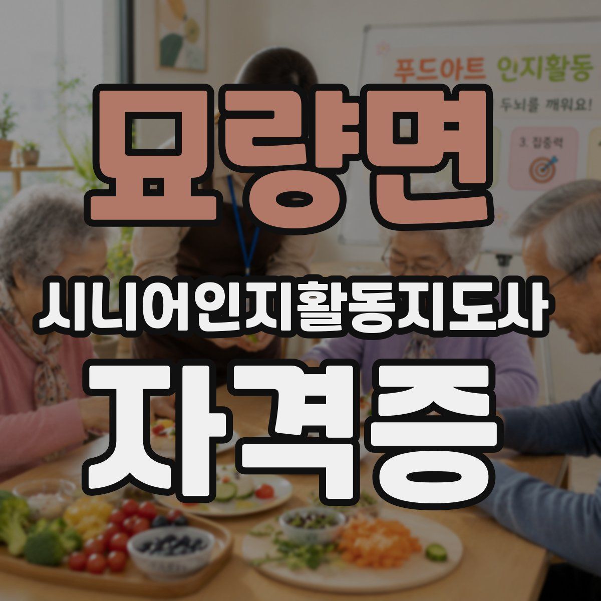 묘량면 시니어인지활동지도사 자격증