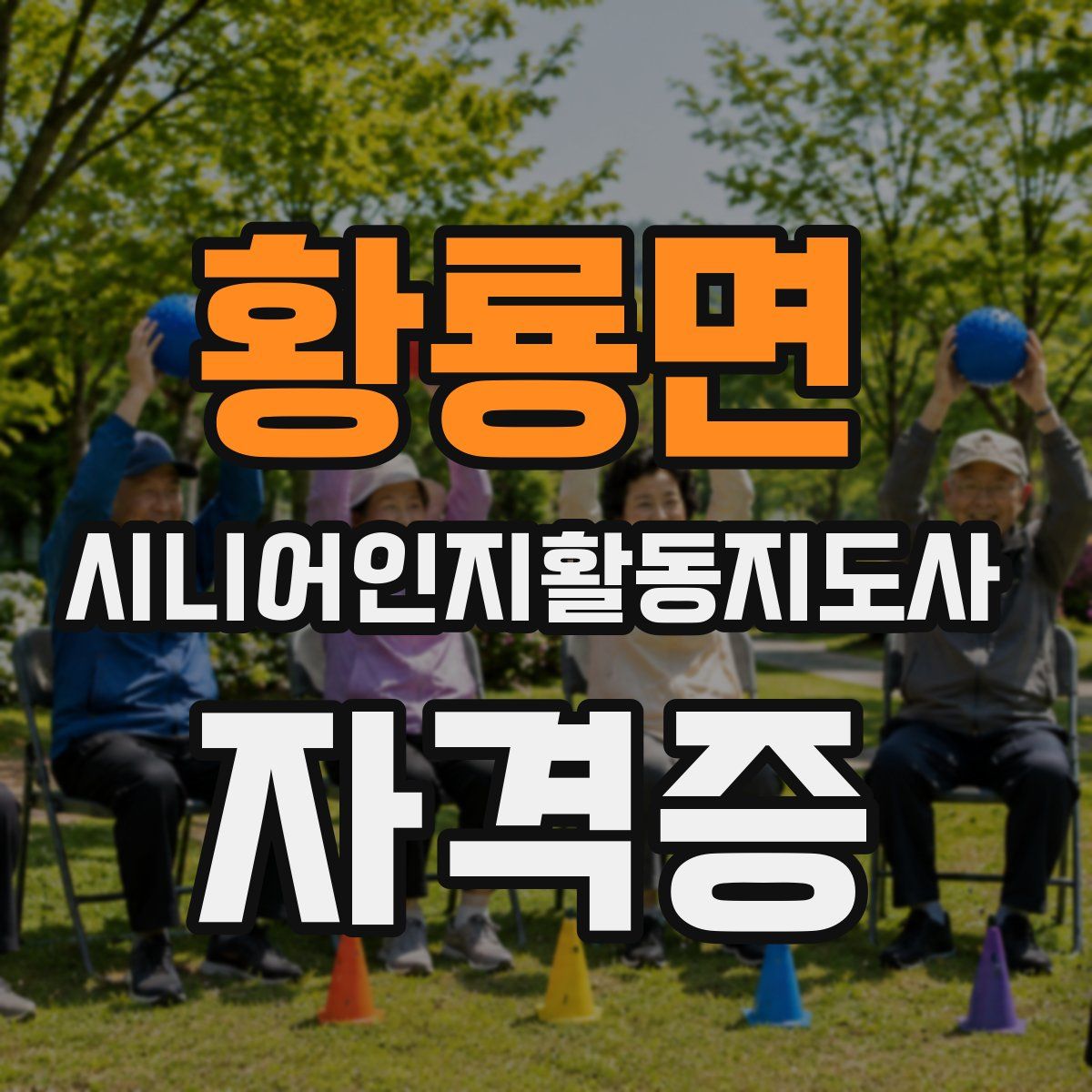 황룡면 시니어인지활동지도사 자격증