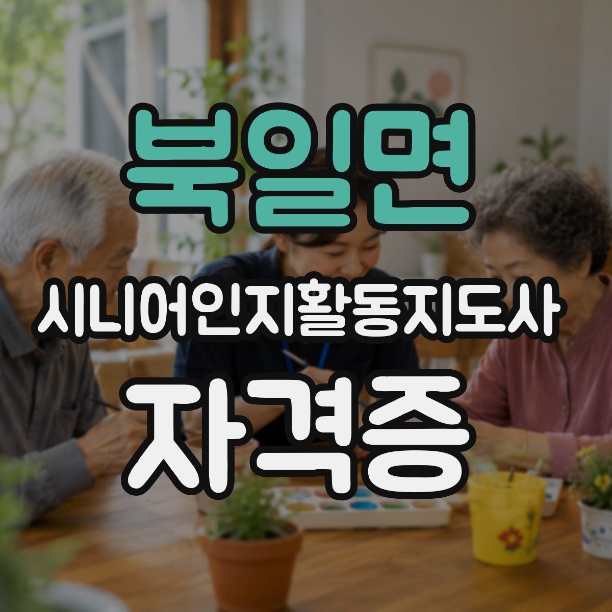 북일면 시니어인지활동지도사 자격증