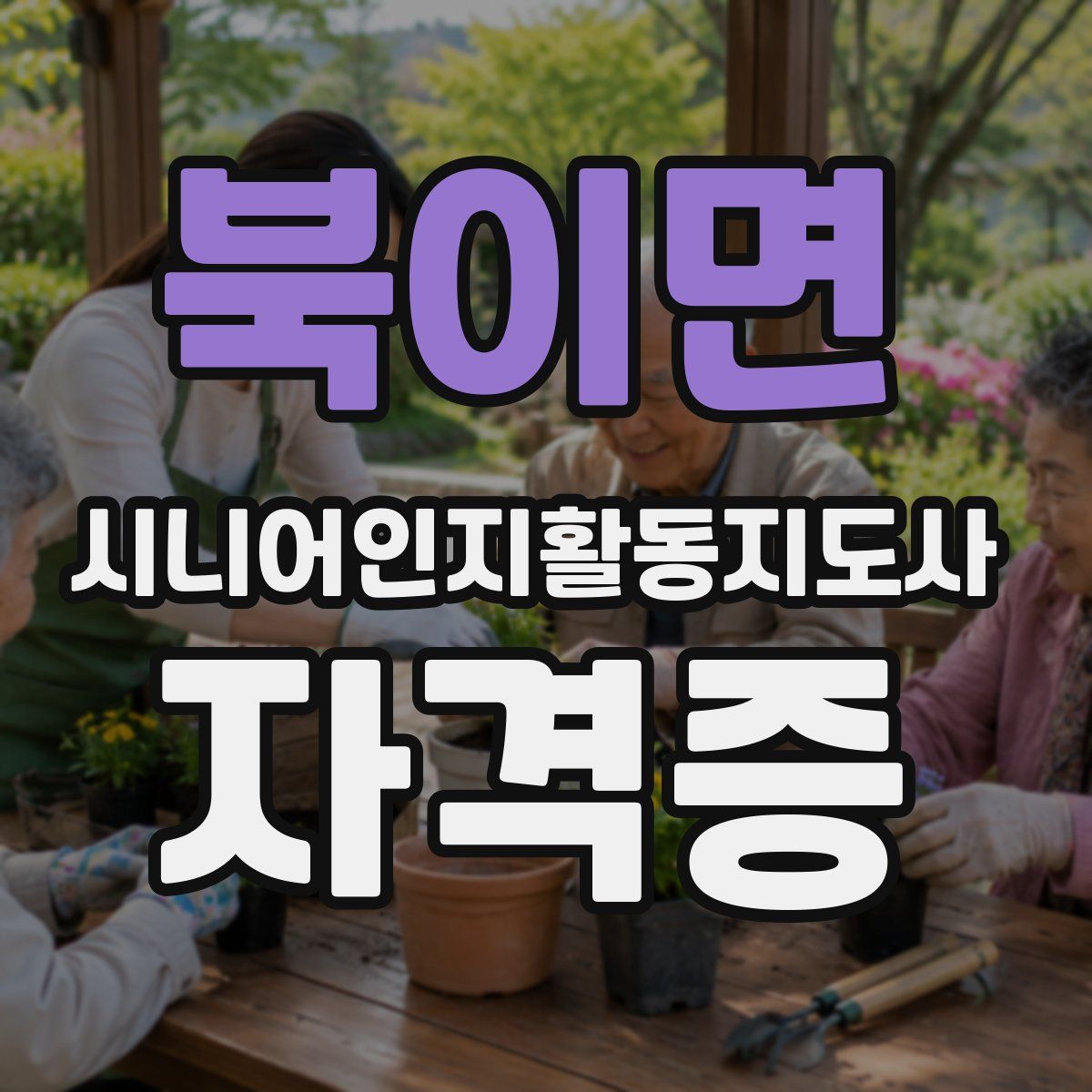 북이면 시니어인지활동지도사 자격증