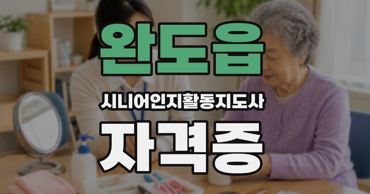 완도읍 시니어인지활동지도사 자격증