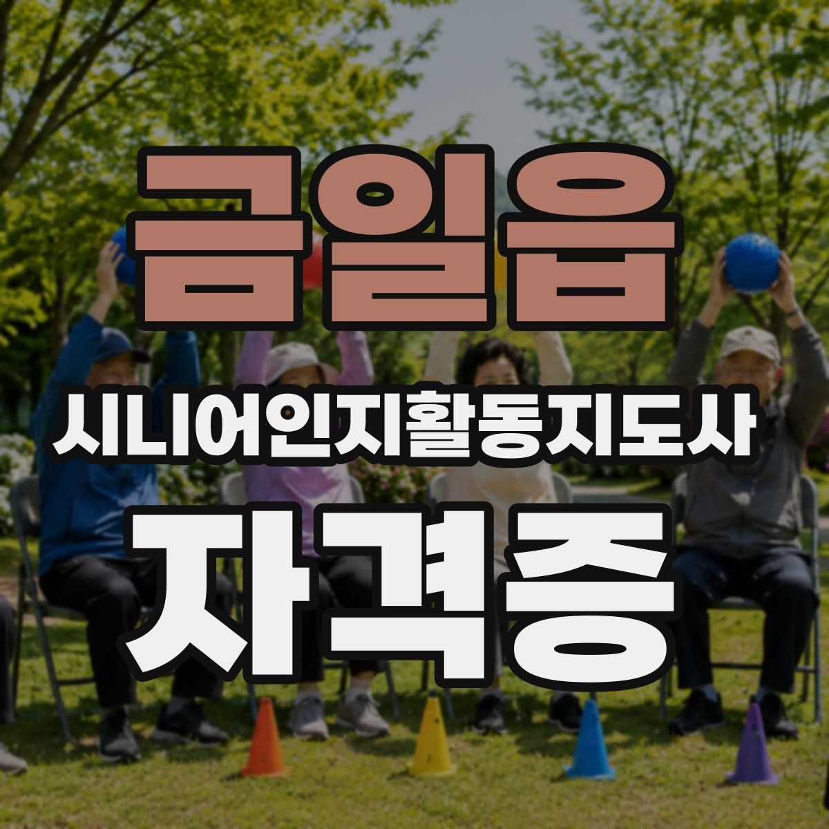 금일읍 시니어인지활동지도사 자격증