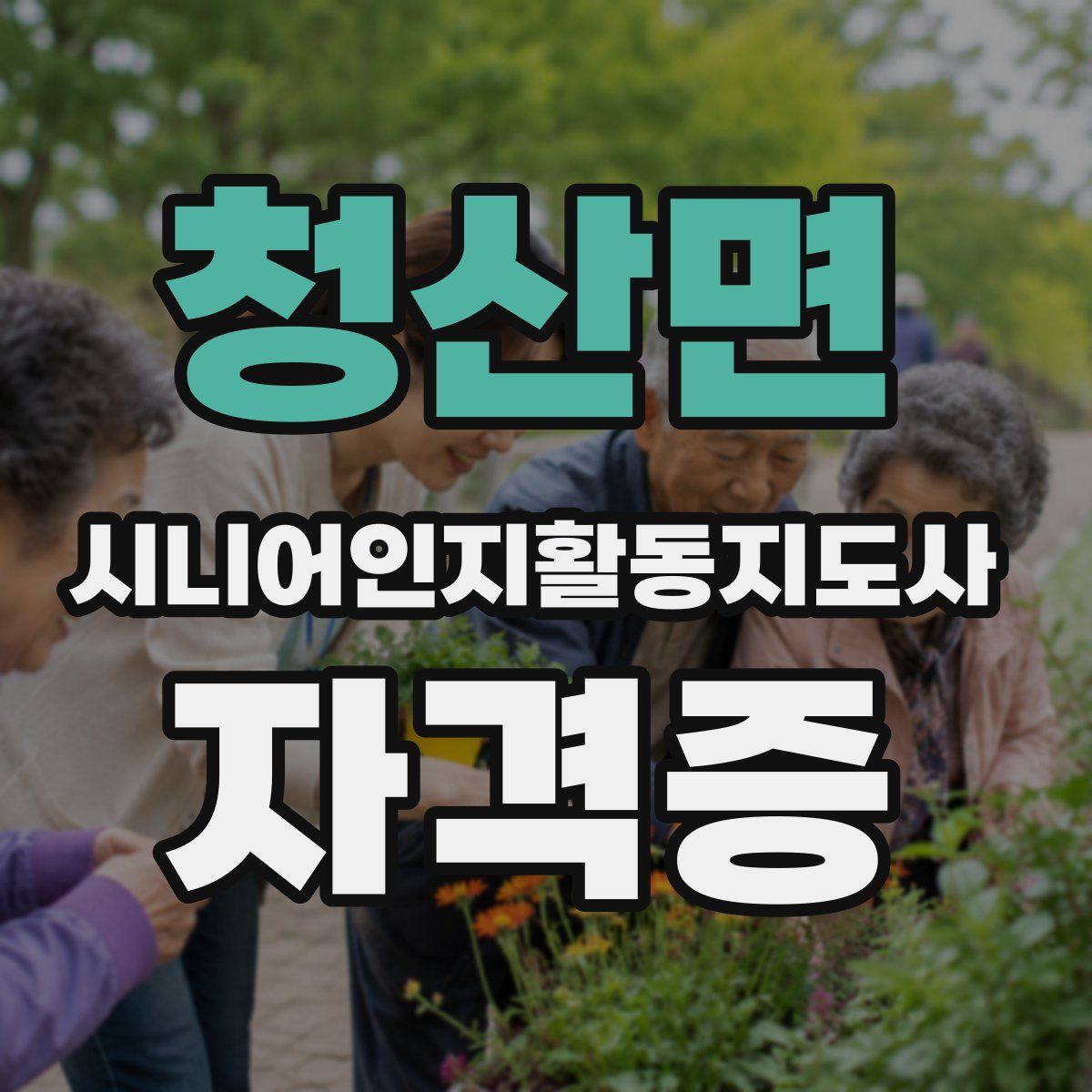 청산면 시니어인지활동지도사 자격증