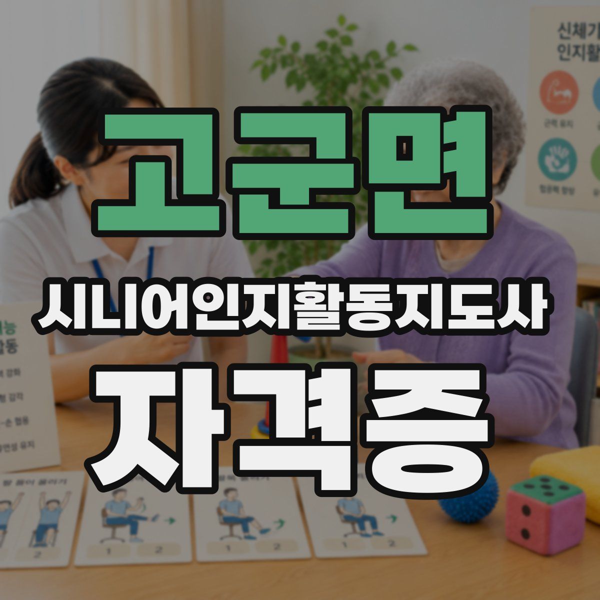 고군면 시니어인지활동지도사 자격증