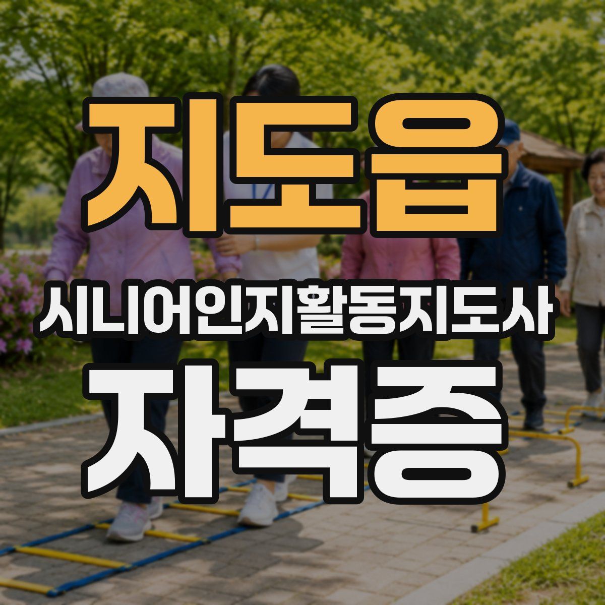 지도읍 시니어인지활동지도사 자격증