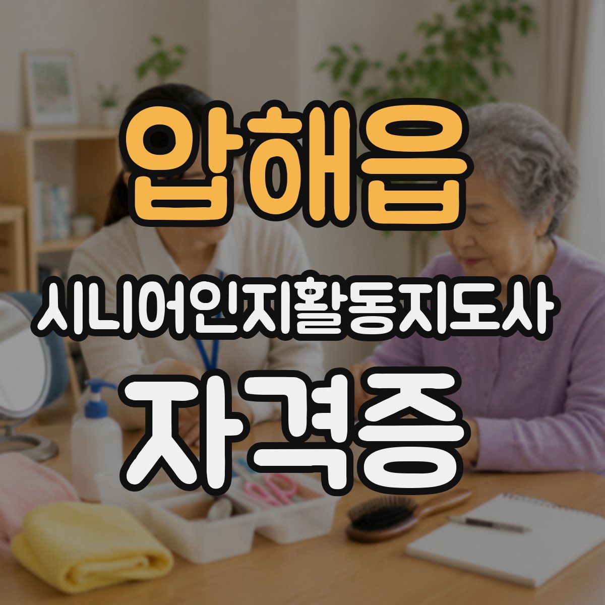 압해읍 시니어인지활동지도사 자격증