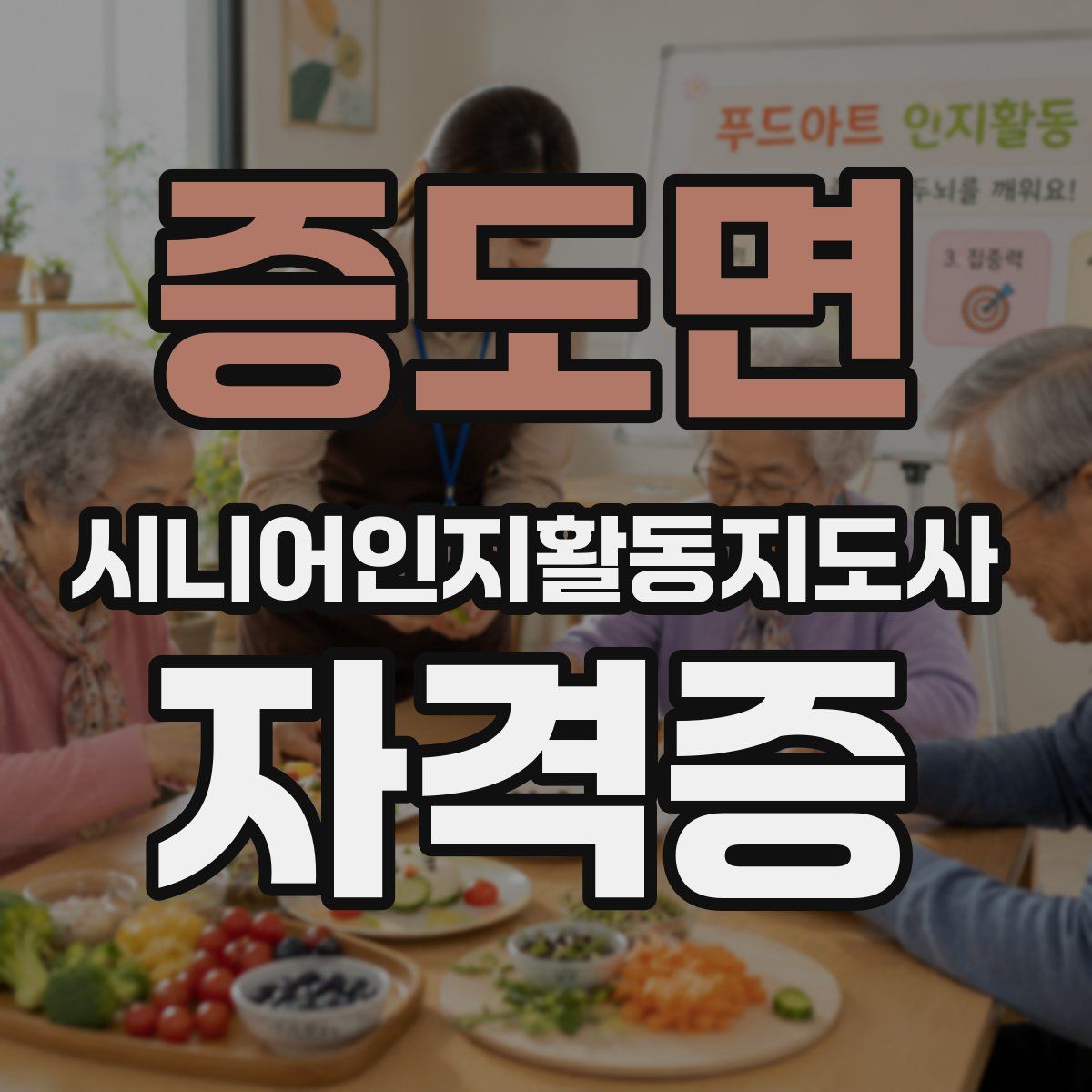 증도면 시니어인지활동지도사 자격증