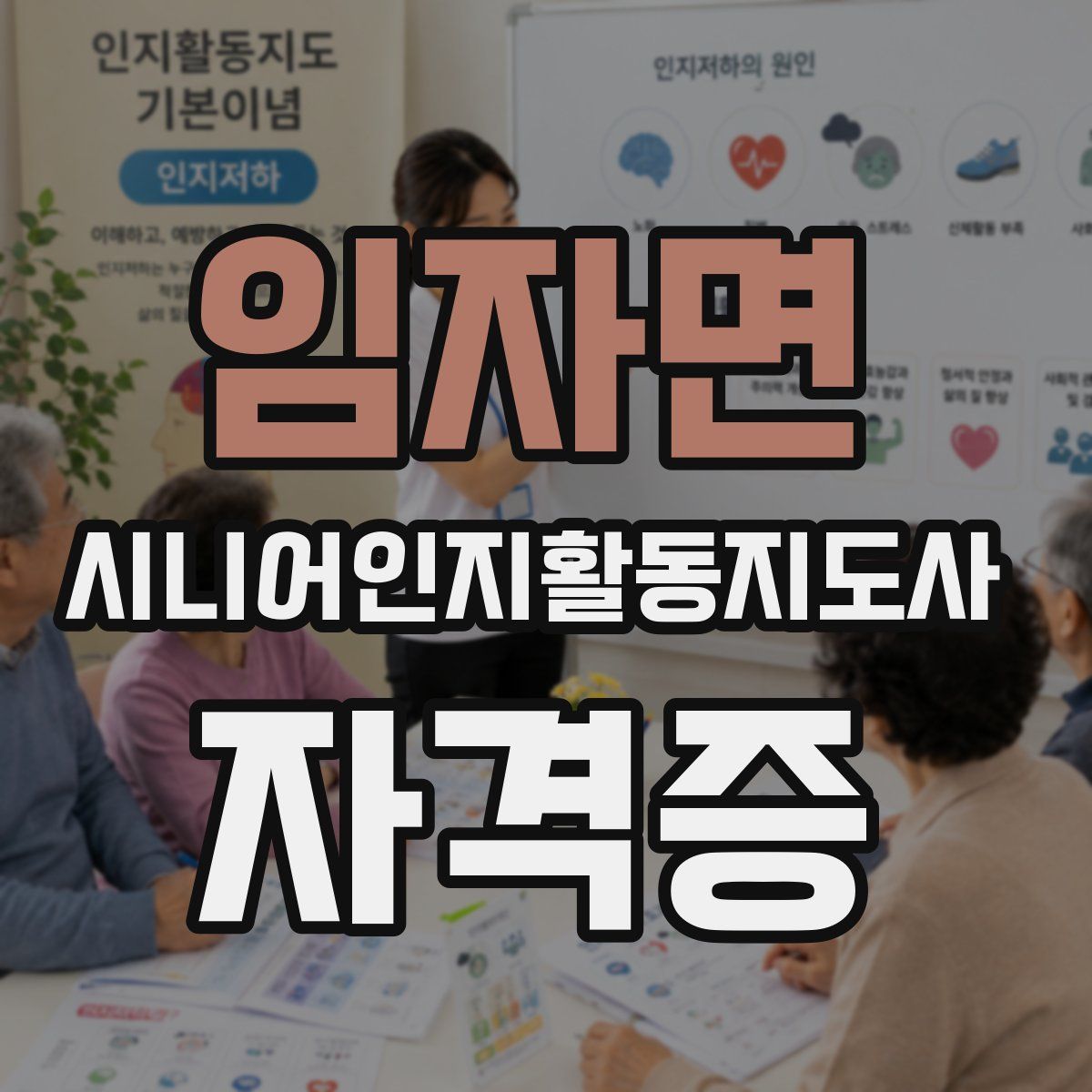 임자면 시니어인지활동지도사 자격증