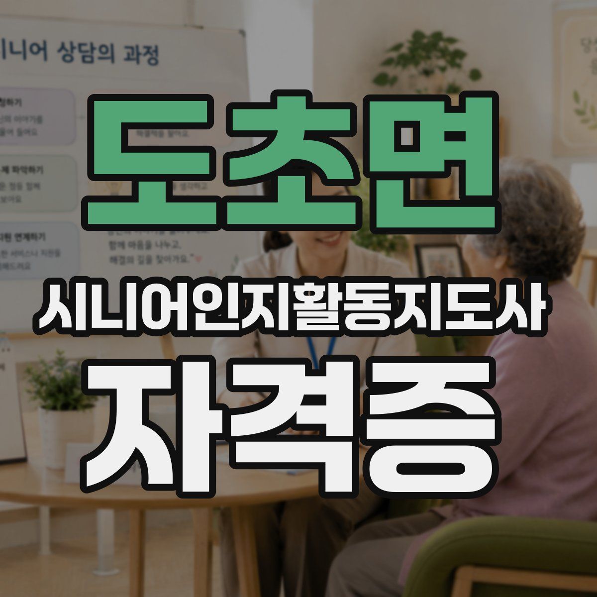 도초면 시니어인지활동지도사 자격증