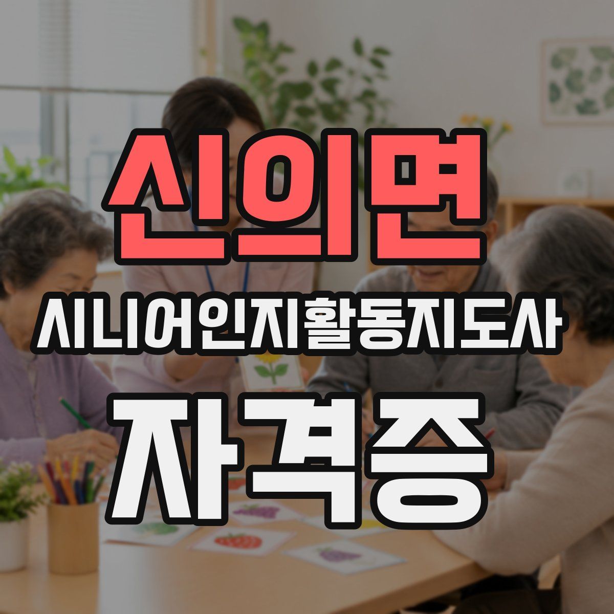 신의면 시니어인지활동지도사 자격증