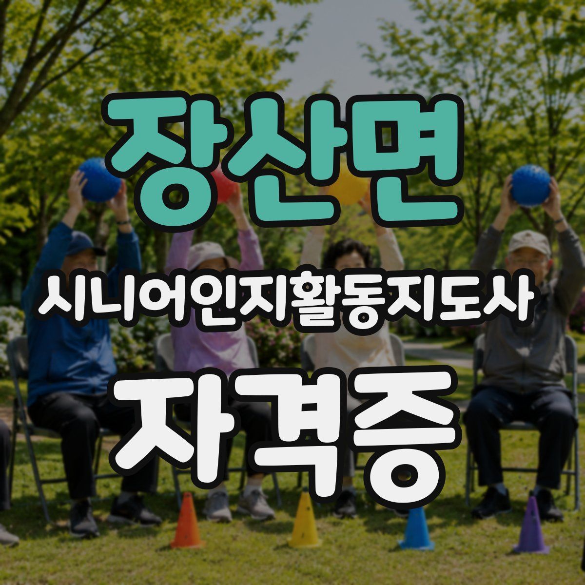 장산면 시니어인지활동지도사 자격증