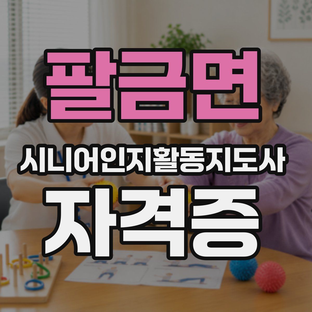 팔금면 시니어인지활동지도사 자격증