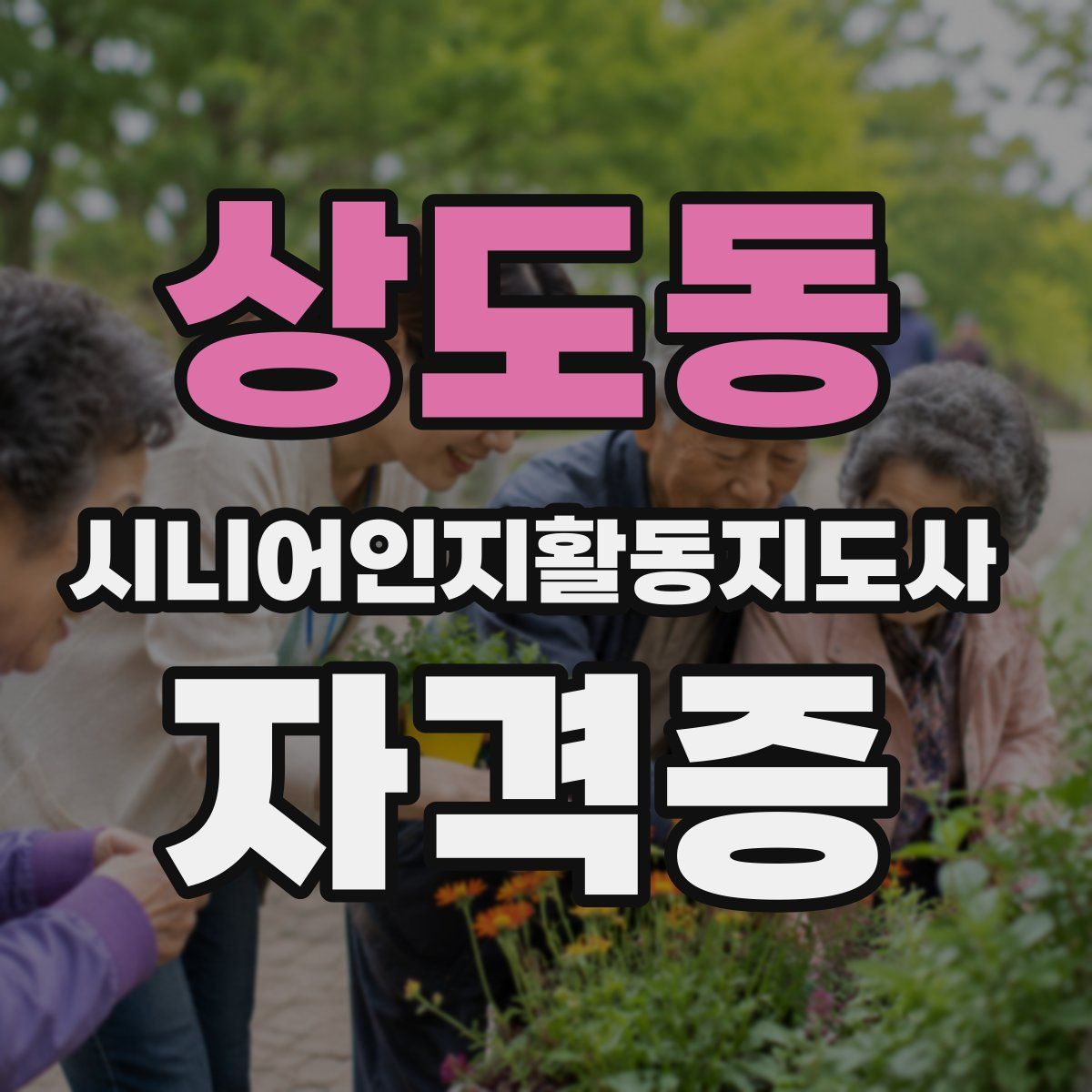 상도동 시니어인지활동지도사 자격증