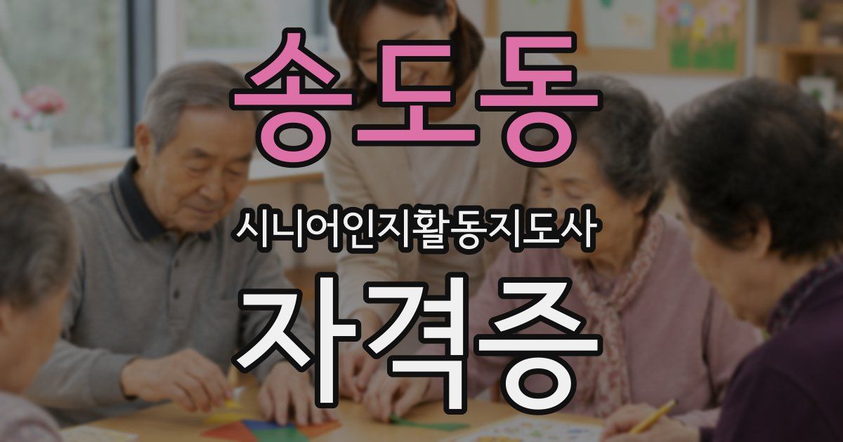 송도동 시니어인지활동지도사 자격증