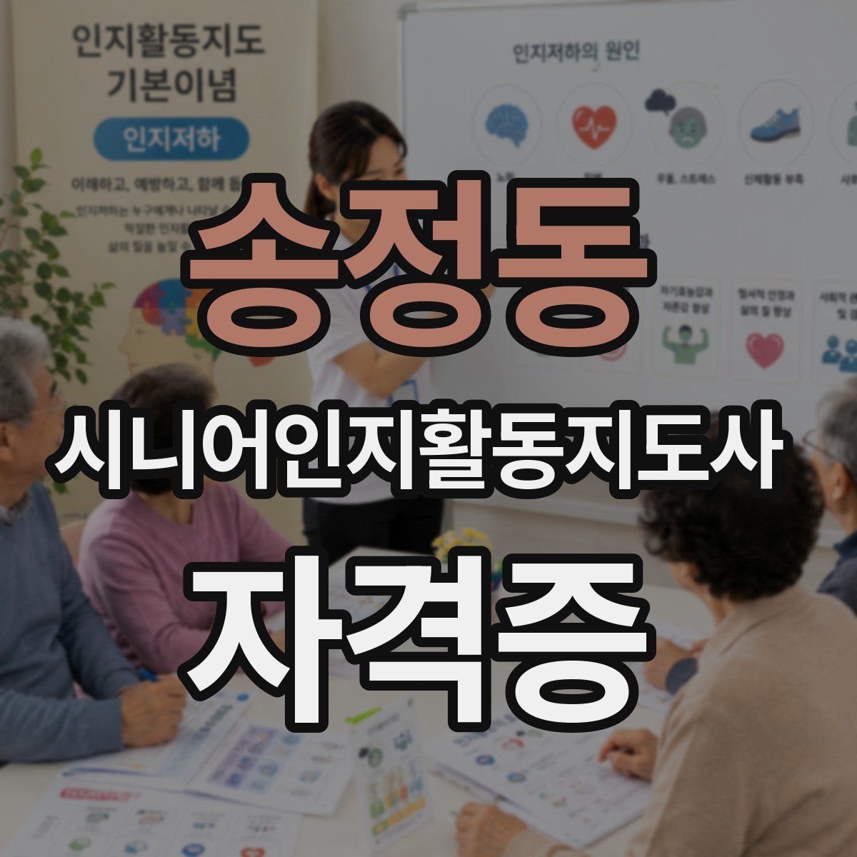 송정동 시니어인지활동지도사 자격증
