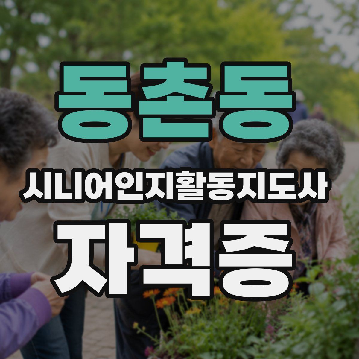 동촌동 시니어인지활동지도사 자격증