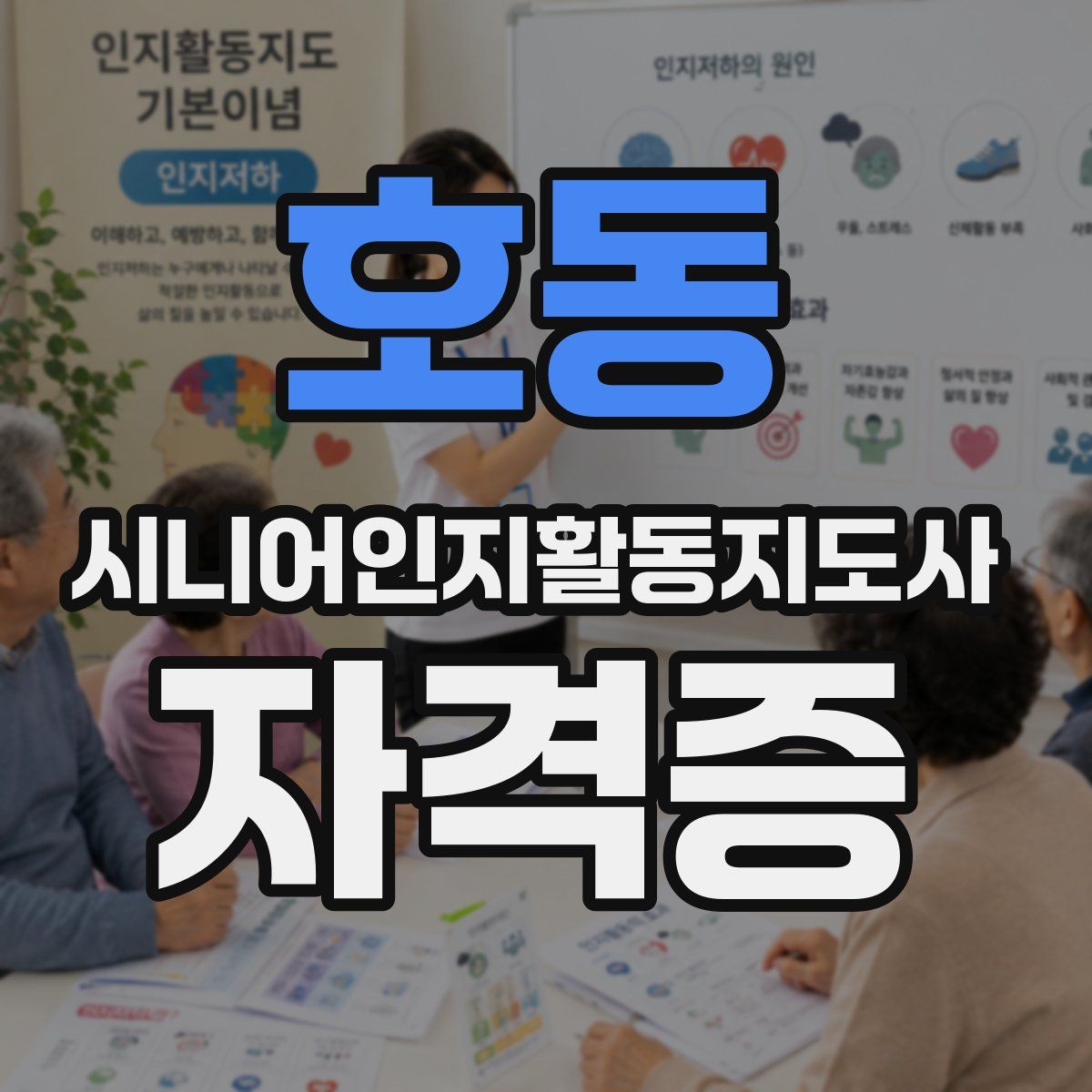 호동 시니어인지활동지도사 자격증