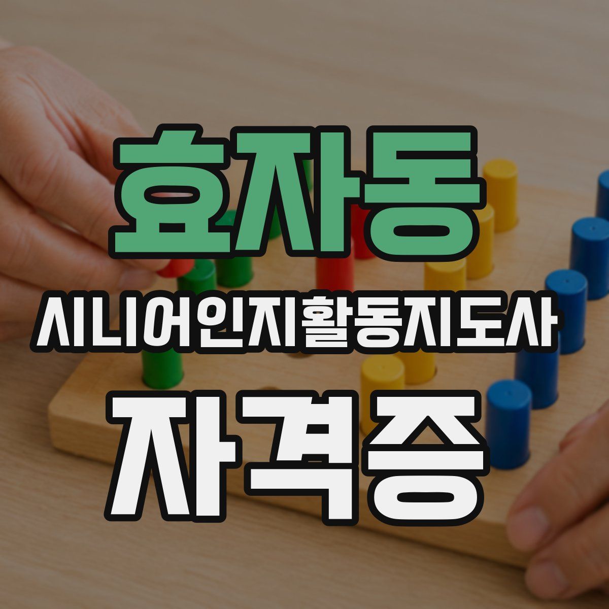 효자동 시니어인지활동지도사 자격증