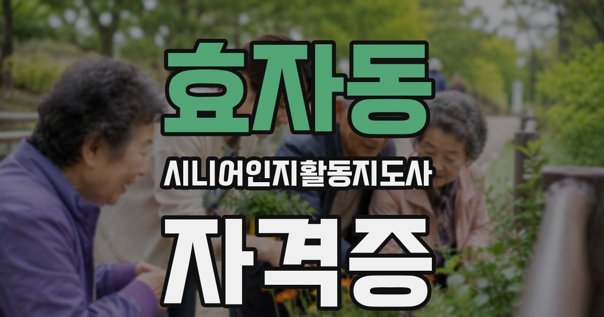 효자동 시니어인지활동지도사 자격증