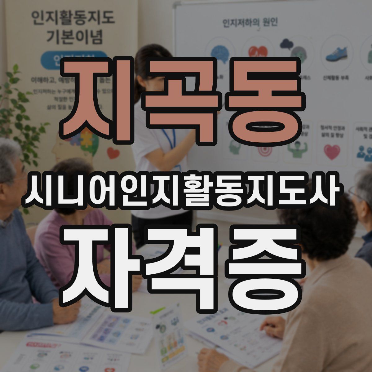 지곡동 시니어인지활동지도사 자격증