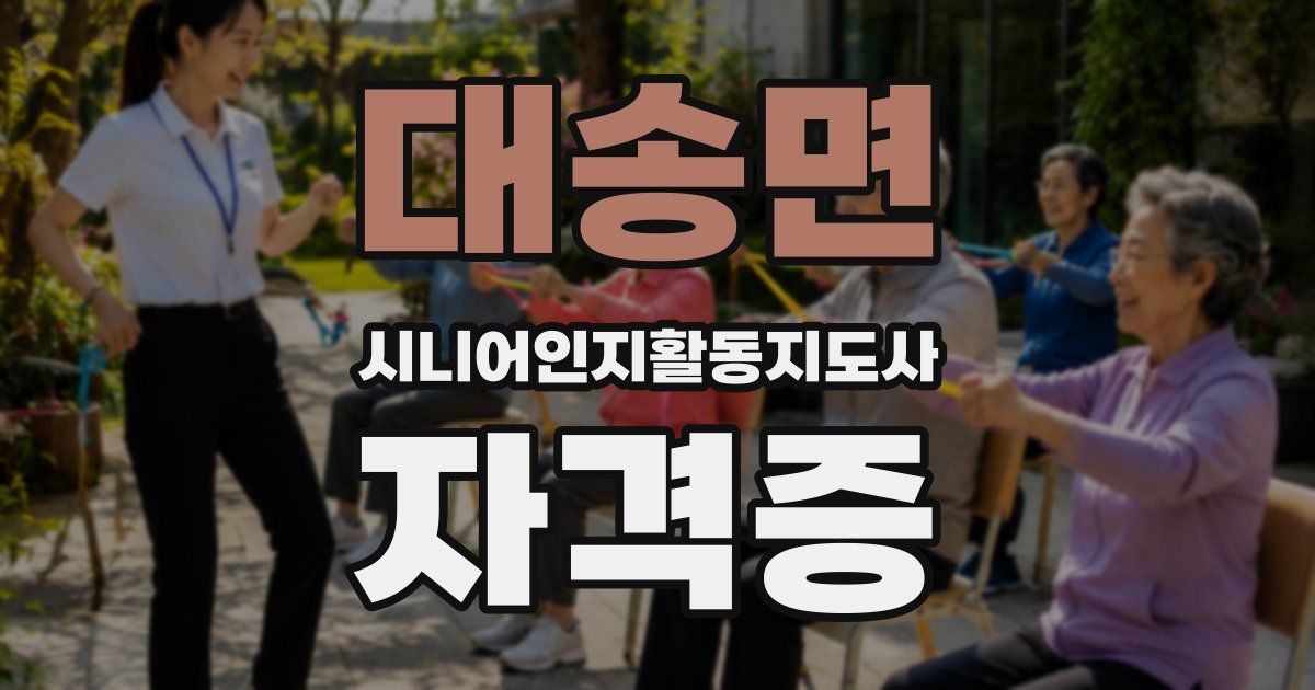 대송면 시니어인지활동지도사 자격증