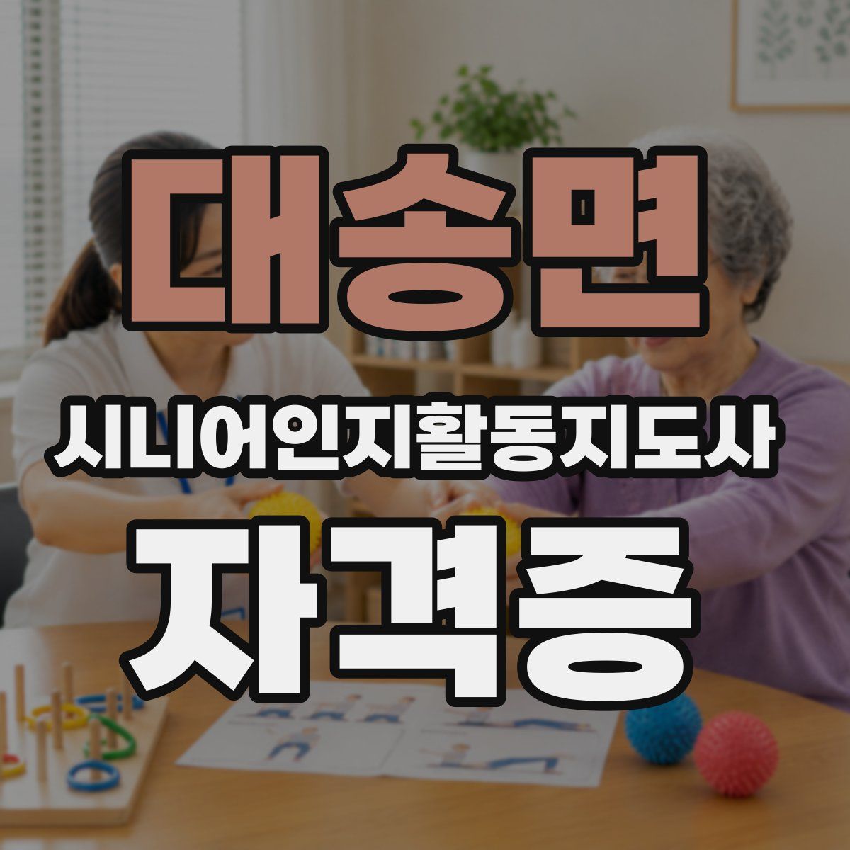 대송면 시니어인지활동지도사 자격증