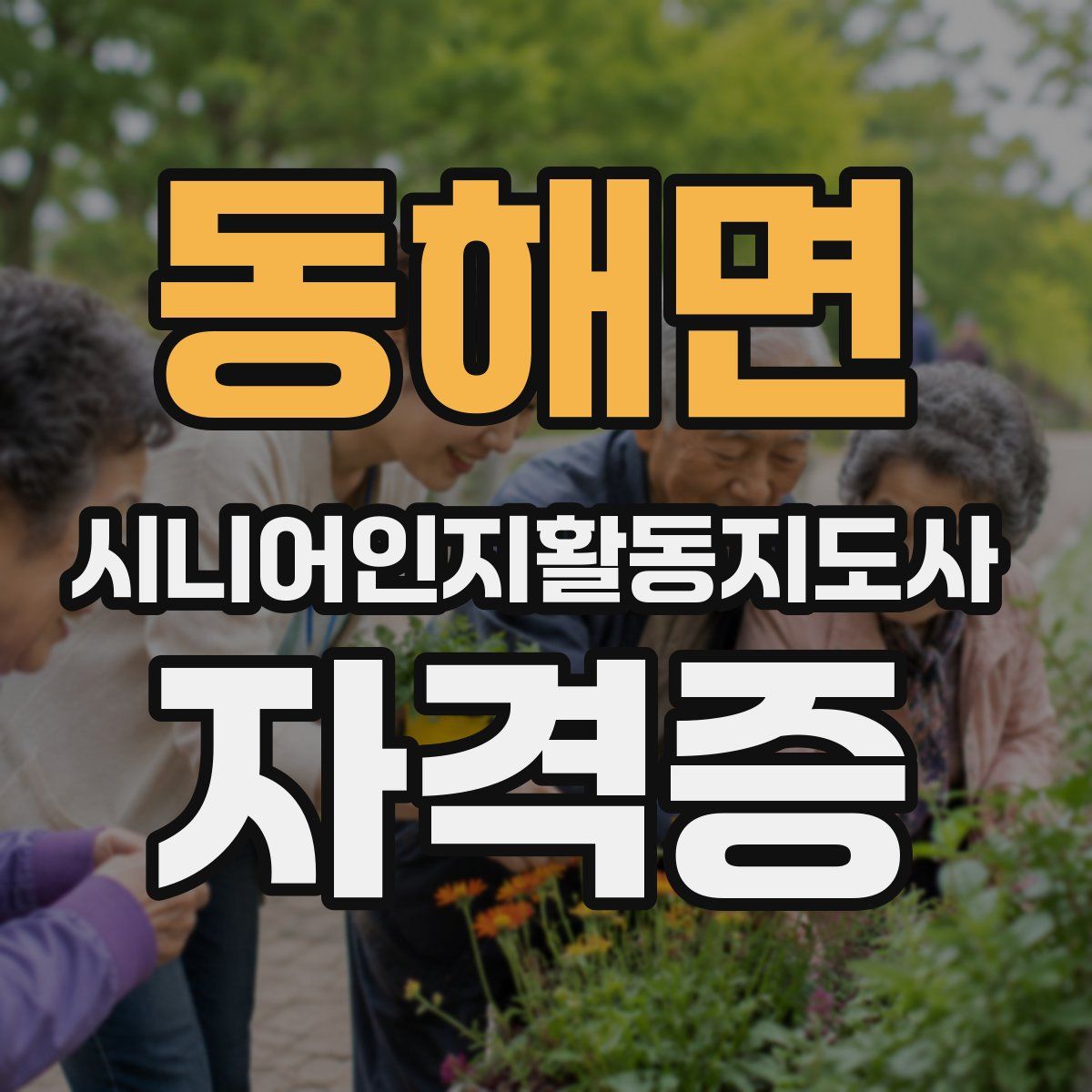 동해면 시니어인지활동지도사 자격증