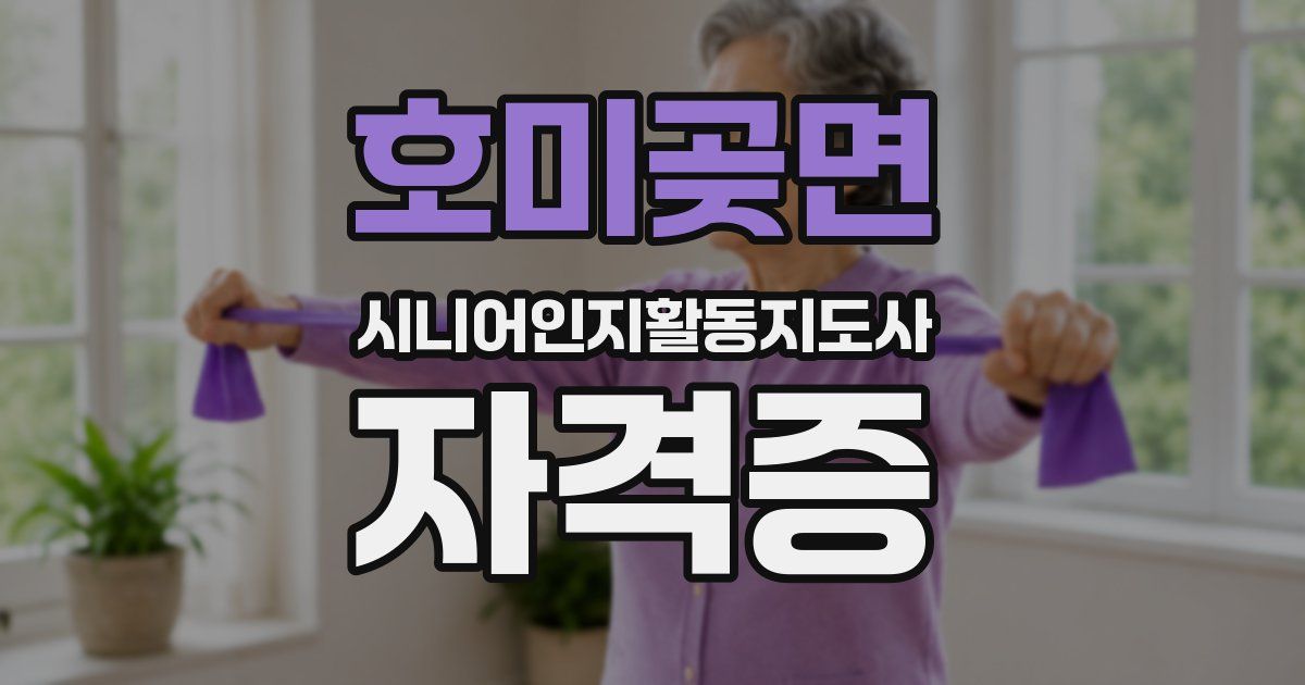 호미곶면 시니어인지활동지도사 자격증